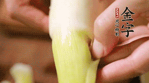 茭白剝?nèi)ネ鈿?，先切片再切絲。