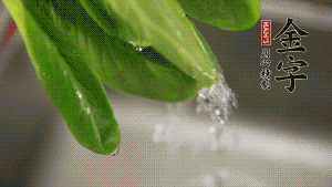 燒一鍋開水，滴一點油，水開后汆燙青菜至斷生即可。