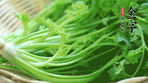 挑選鮮嫩的香菜，洗干凈后，處理成小段。