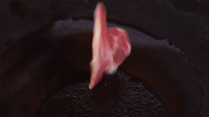 鍋中倒入橄欖油燒熱，放入淡火腿小火煸炒至打卷狀態(tài)。