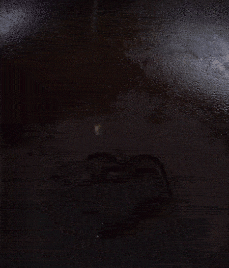 冷鍋熱油，下蒜片爆香，下香腸、玉米筍、蓮藕、西芹爆炒，期間加點(diǎn)水，翻炒1分鐘后加新鮮百合片，翻炒30秒。