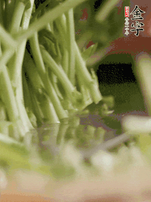 新鮮豌豆苗割下洗凈。